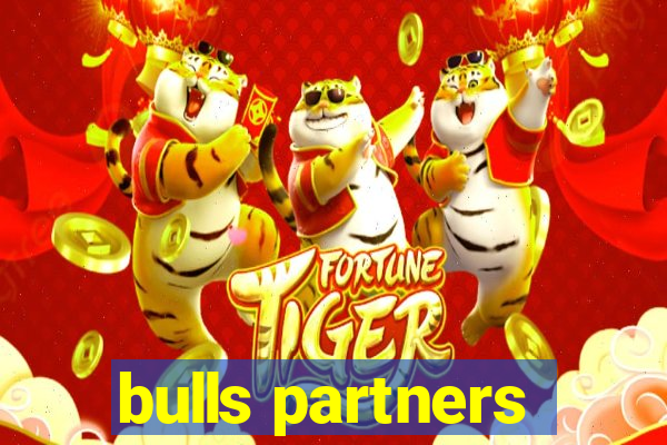 bulls partners